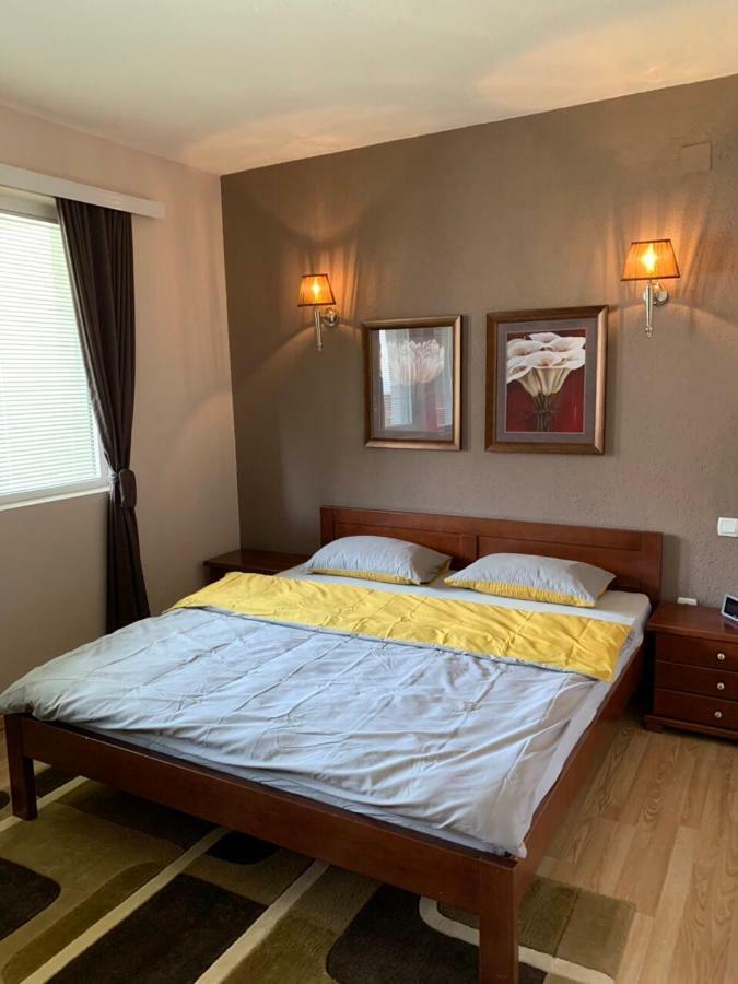 Apartmani Alo Alo Plav Eksteriør bilde