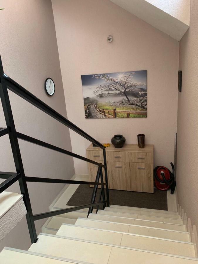 Apartmani Alo Alo Plav Eksteriør bilde