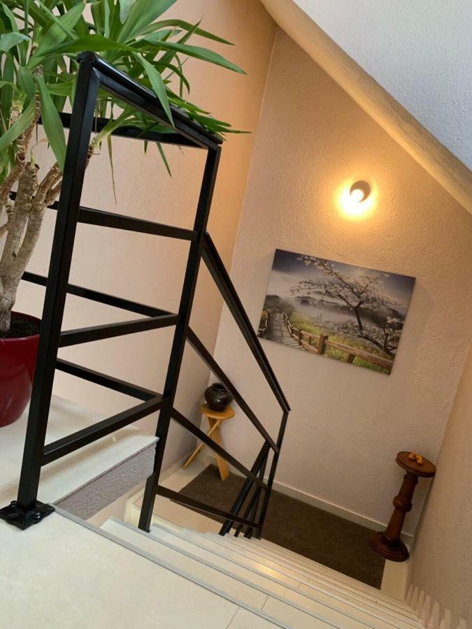 Apartmani Alo Alo Plav Eksteriør bilde