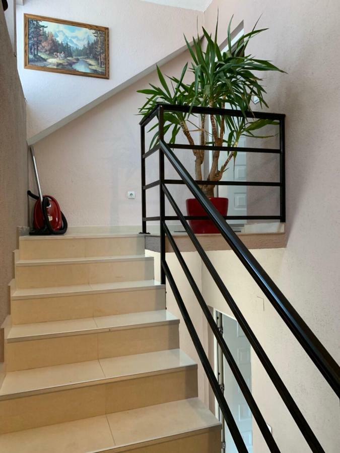 Apartmani Alo Alo Plav Eksteriør bilde